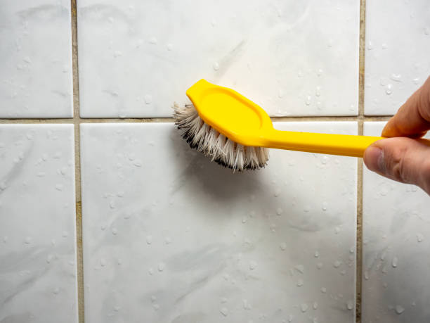 Best Commercial Mold Removal  in North Belle Vernon, PA