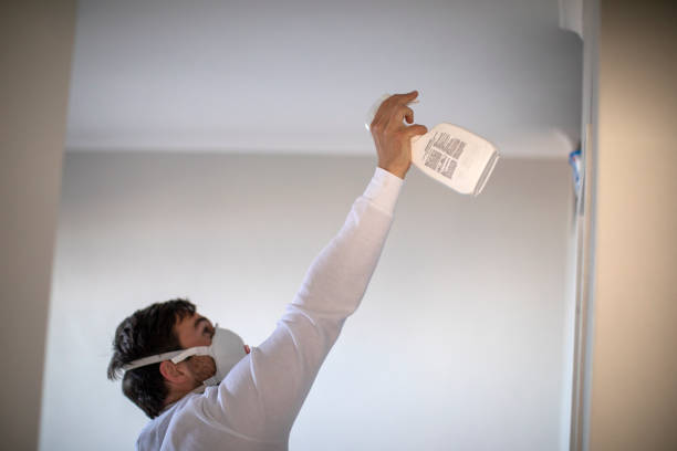 Best Office Mold Removal Services  in North Belle Vernon, PA