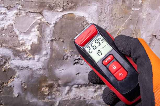 Best Mold Testing  in North Belle Vernon, PA